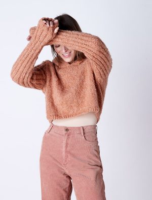 modèle tricot Pull à capuche en Pégase de Plassard