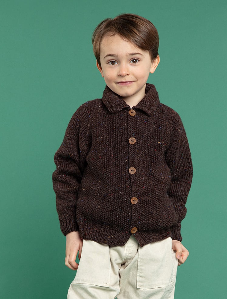 modèle tricot Gilet au pt de riz en  de Plassard
