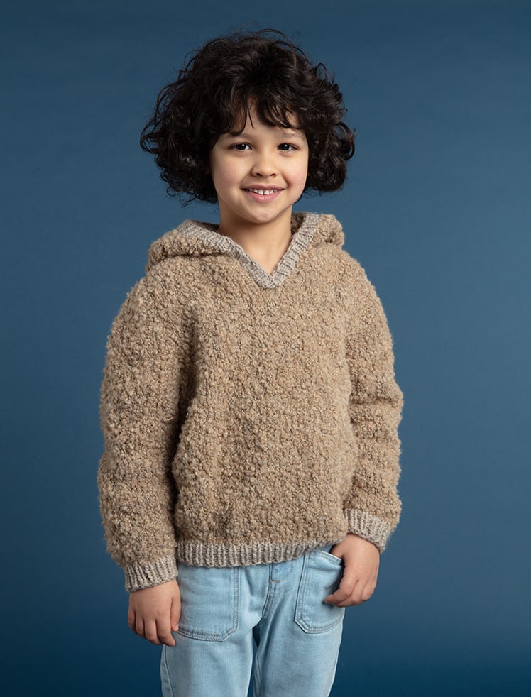 modèle tricot Pull à capuche en  de Plassard