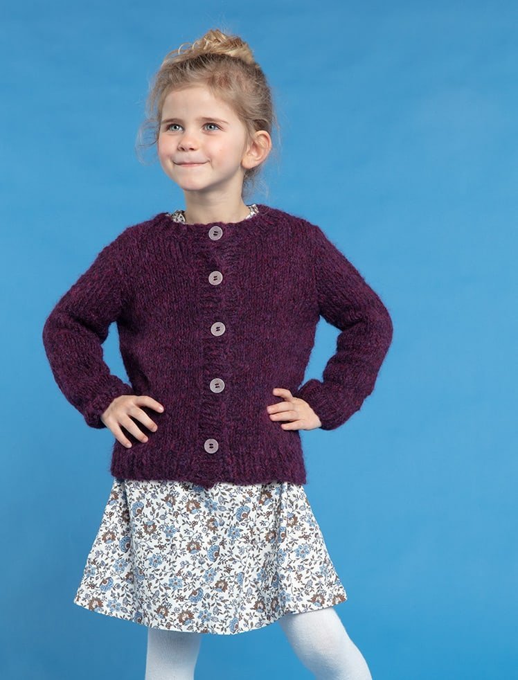 modèle tricot Cardigan en  de Plassard