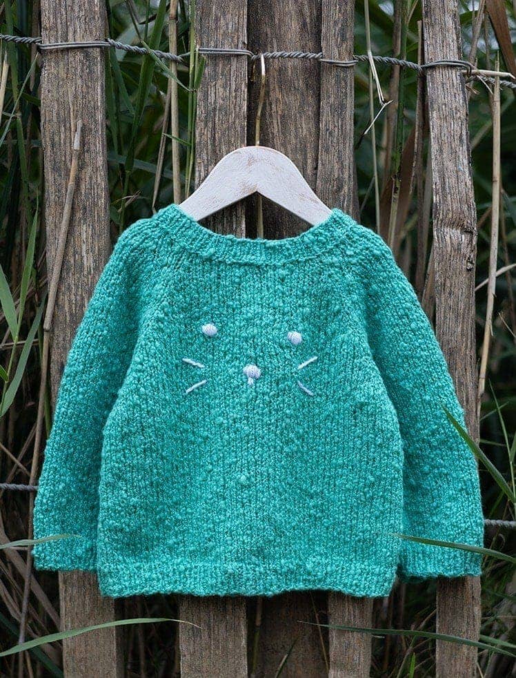 modèle maille Pull en  de Plassard