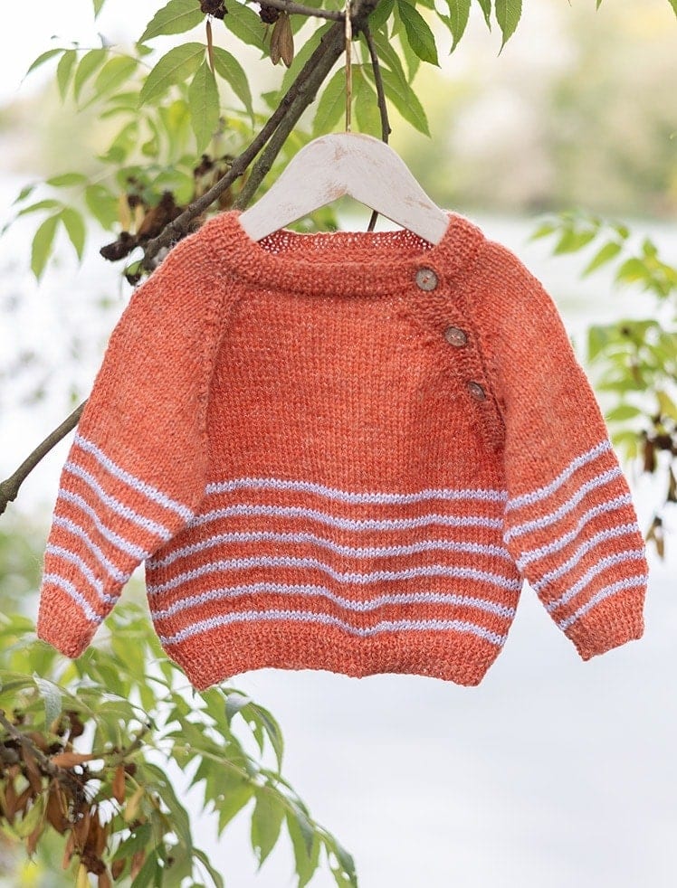 modèle maille Pull raglan en  de Plassard